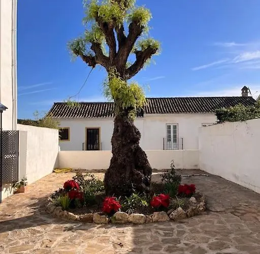 Feriehus Townhouse With Pool Near Puerto Banus Marbella