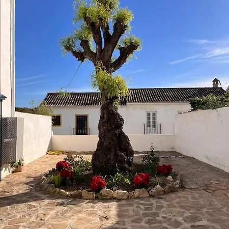 Feriehus Townhouse With Pool Near Puerto Banus Marbella